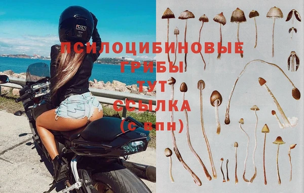 стафф Белоозёрский