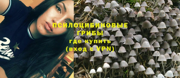 стафф Белоозёрский